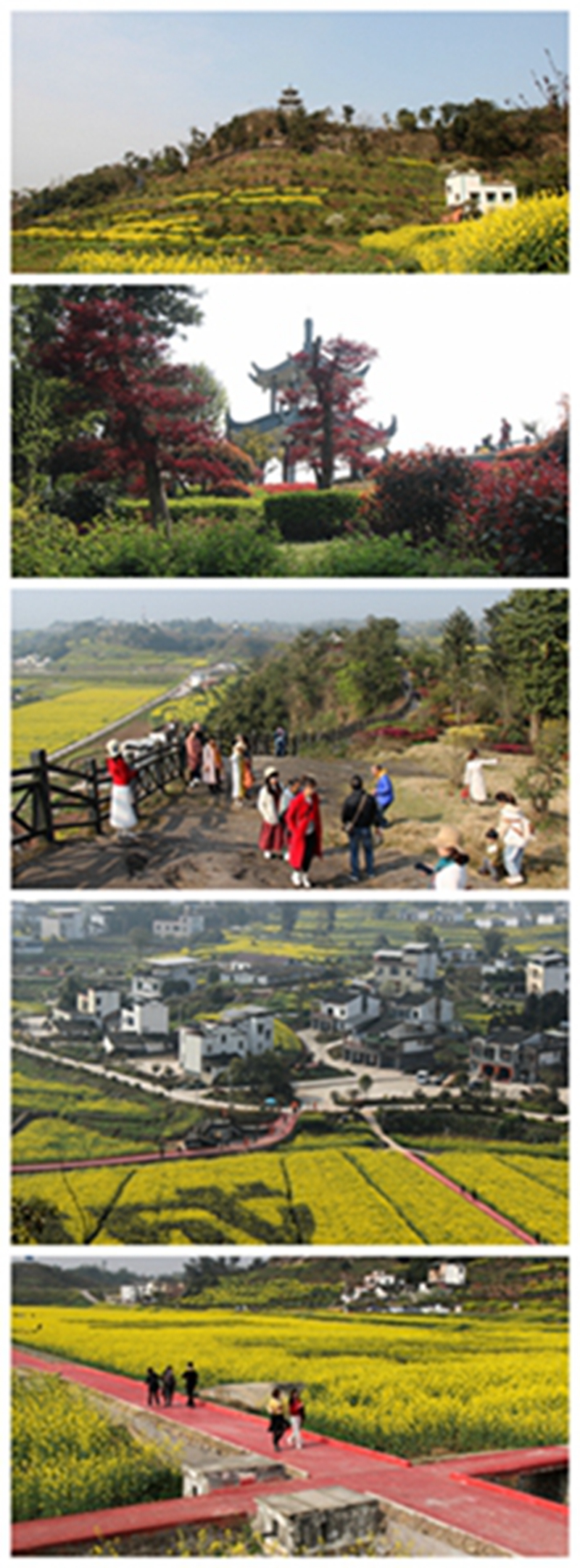 泸县喻寺醉美乡村旅游，来美丽谭坝村享受春天的芬芳！(图4)