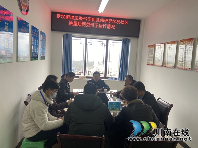 胡良调研龙马潭区罗汉场社区换届后“两委”班子运行情况(图1)