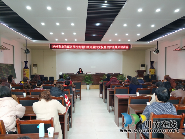 龙马潭区罗汉街道妇联开展妇女权益保护法律知识讲座(图1)