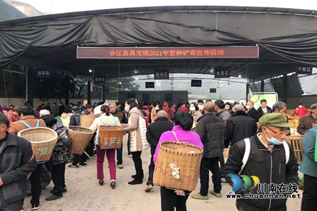 合江县真龙镇开展2021年禁种铲毒宣传活动(图1)