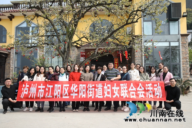 江阳区华阳街道开展“与梨一起、美丽为伴”主题活动(图3)