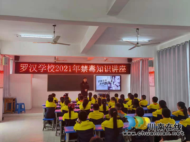 龙马潭区罗汉街道深入开展禁毒宣传教育进校园系列活动(图1)