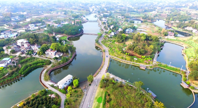 大大大福利！@泸州人，周末免费春游的机会来了！(图5)