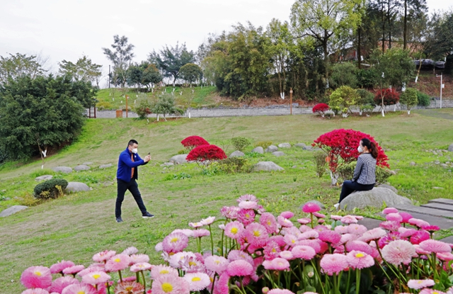 大大大福利！@泸州人，周末免费春游的机会来了！(图6)