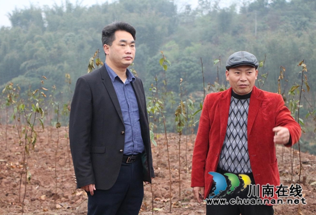 合江县委统战部走访新联会会员产业基地(图3)