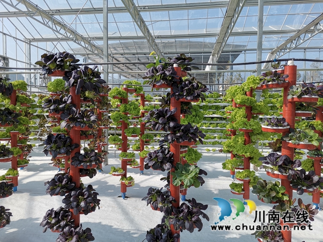 不忘帮扶初心，牢记使命重托！合江县用心用情助力凉山越西脱贫奔康(图7)