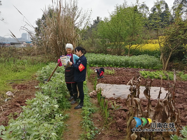内江经开区靖民镇沱江社区：全民动员根绝毒害(图1)