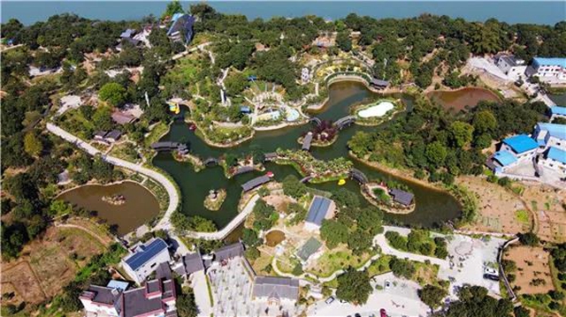 乡村文化旅游丨龙马潭区“三举措”提升乡村旅游品质(图8)