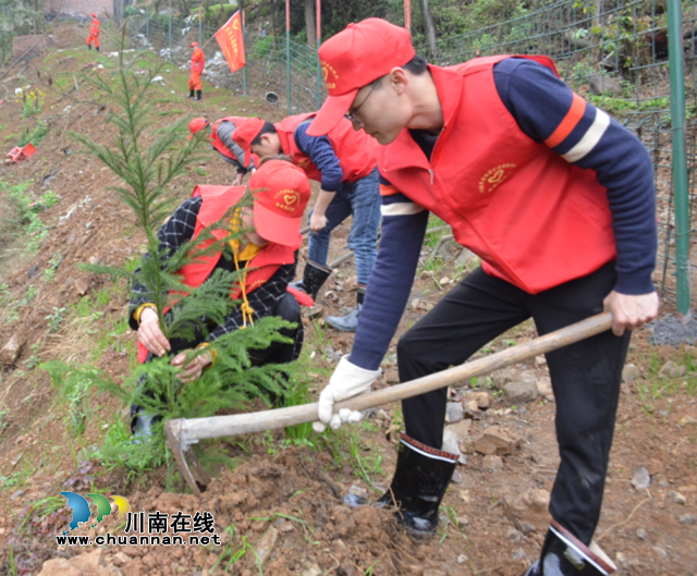 威鑫煤业：青年义务植树，为矿山添上一抹新绿！(图1)