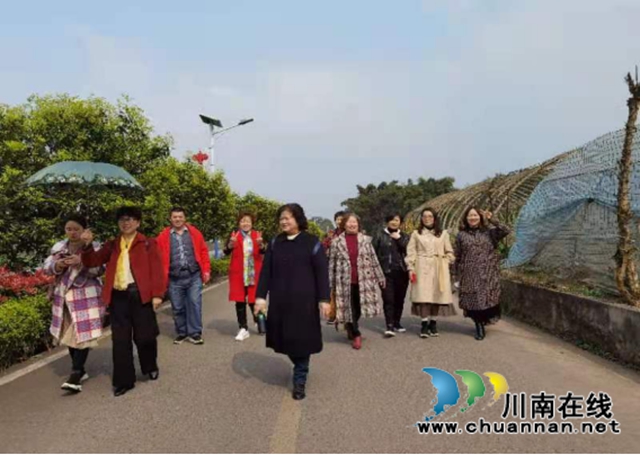 龙马潭区小市街道开展“拥抱健康 徒步踏青”活动(图2)