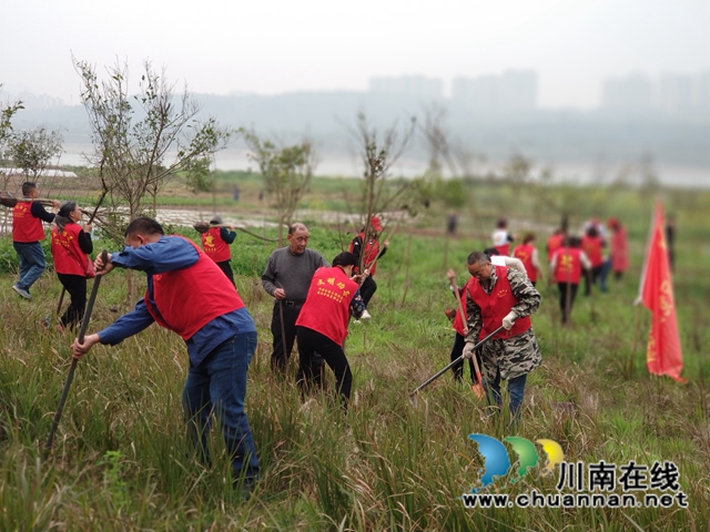 拥抱春天,播种绿色!龙马潭区罗汉街道开展植树节活动(图1) 拥抱春天,播种绿色!龙马潭区罗汉街道开展植树节活动(图1)
