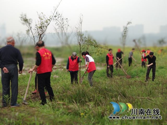 拥抱春天,播种绿色!龙马潭区罗汉街道开展植树节活动(图4) 拥抱春天,播种绿色!龙马潭区罗汉街道开展植树节活动(图4)