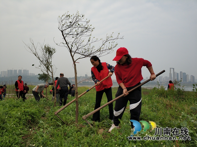拥抱春天,播种绿色!龙马潭区罗汉街道开展植树节活动(图2) 拥抱春天,播种绿色!龙马潭区罗汉街道开展植树节活动(图2)