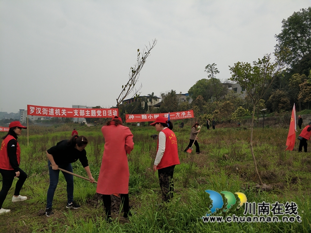 拥抱春天,播种绿色!龙马潭区罗汉街道开展植树节活动(图3) 拥抱春天,播种绿色!龙马潭区罗汉街道开展植树节活动(图3)