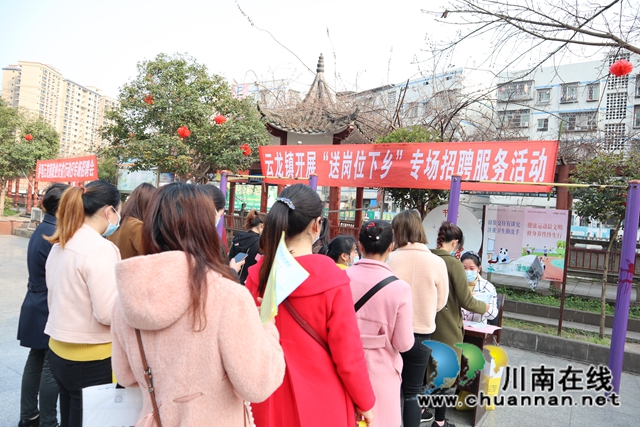 泸县云龙镇开展”送岗位下乡“专场招聘服务活动(图5)