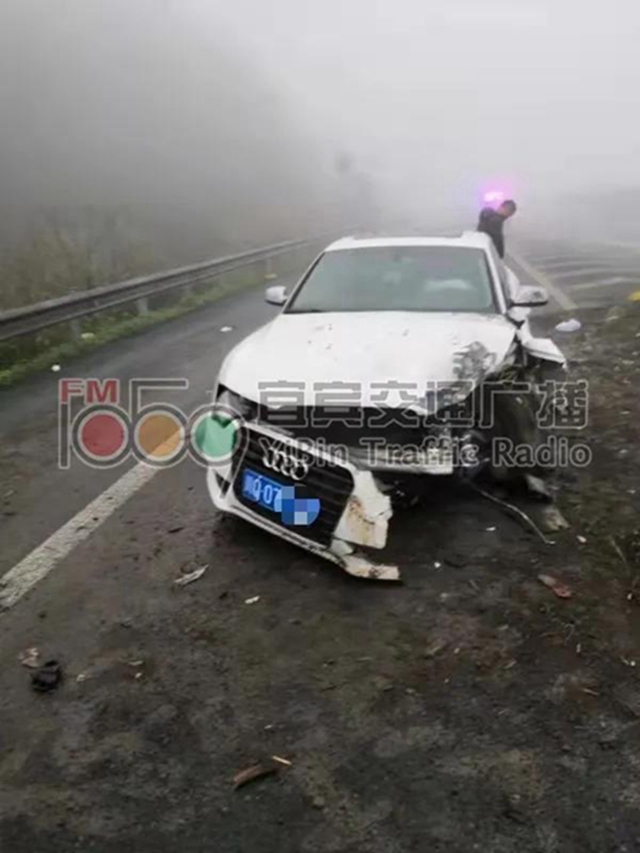 奥迪车在宜宾高速路发生车祸！司机却不见了！警方调查后发现……(图2)