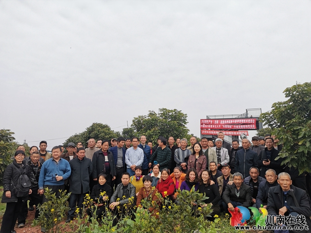 泸县：加快龙眼品种改良 打造中国龙眼晚熟之乡(图1)