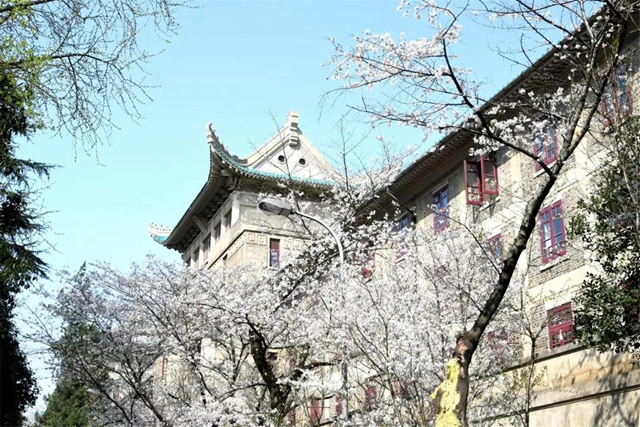 西南医大附院9名援鄂医务人员受邀赴“樱花之约”(图8)