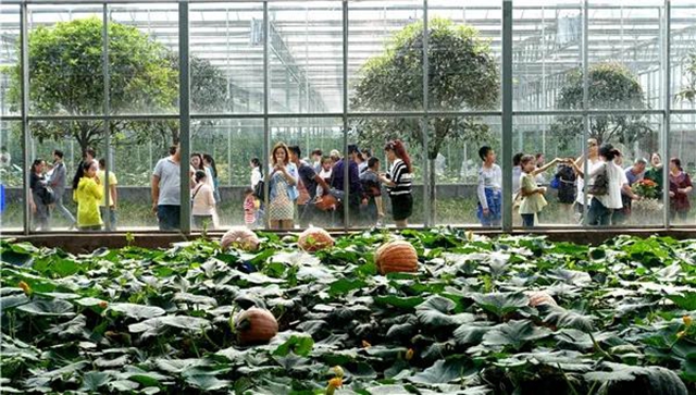 四川省第十二届(春季)乡村文化旅游节将在泸州举行(内附三大精品乡村旅游线路)(图4) 四川省第十二届(春季)乡村文化旅游节将在泸州举行(内附三大精品乡村旅游线路)(图4)