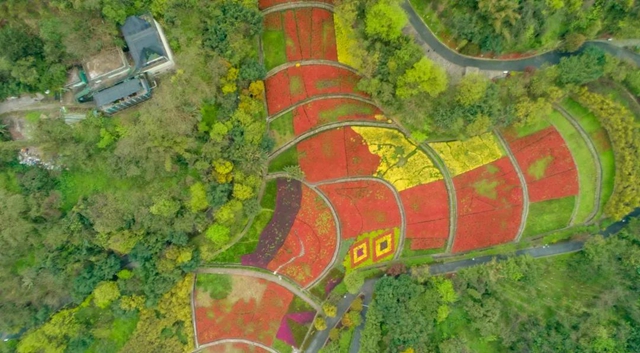 四川省第十二届(春季)乡村文化旅游节将在泸州举行(内附三大精品乡村旅游线路)(图7) 四川省第十二届(春季)乡村文化旅游节将在泸州举行(内附三大精品乡村旅游线路)(图7)