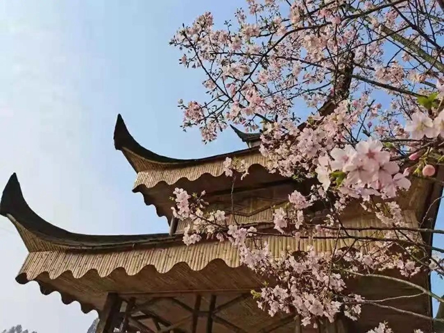 四川省第十二届(春季)乡村文化旅游节将在泸州举行(内附三大精品乡村旅游线路)(图9) 四川省第十二届(春季)乡村文化旅游节将在泸州举行(内附三大精品乡村旅游线路)(图9)