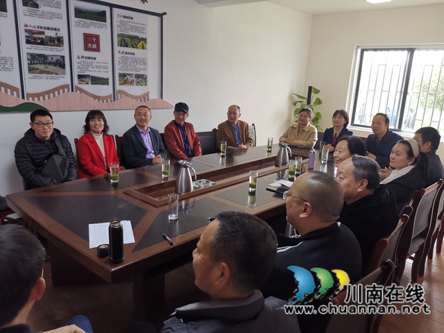 民盟纳溪区基层委员会专题调研特早茶产业(图3)