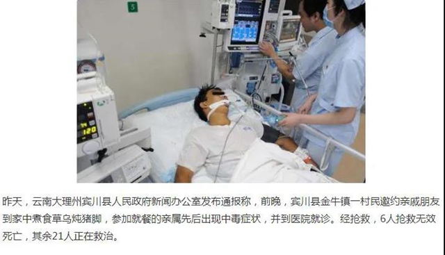 【注意】用乌头类草药泡水泡酒，一喝就死？