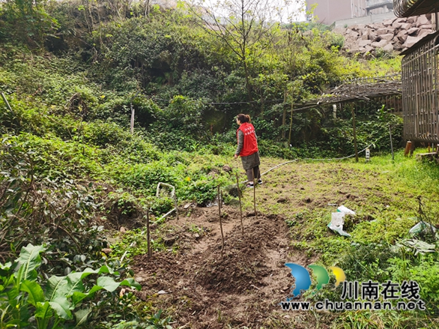 江阳区华阳街道开展禁种铲毒踏查工作(图2)