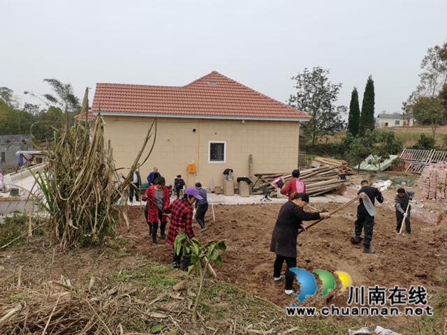 行动迅速!泸州两起乱占耕地顶风违建项目整治到位(图2) 行动迅速!泸州两起乱占耕地顶风违建项目整治到位(图2)