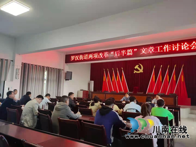 龙马潭区罗汉街道召开两项改革“后半篇”文章专题讨论会(图1)