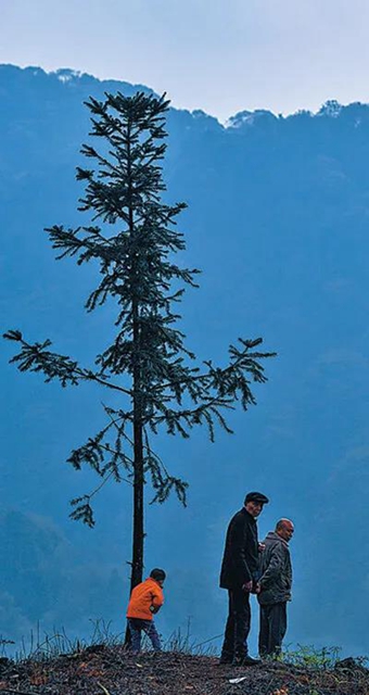 引来人民日报关注！自贡八旬老人投资千万开山造林(图2)