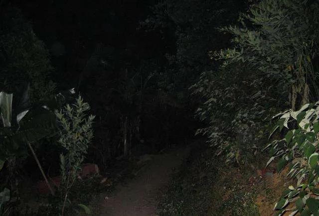 毒蛇提前出关？泸州2人被咬伤住院……(图8)