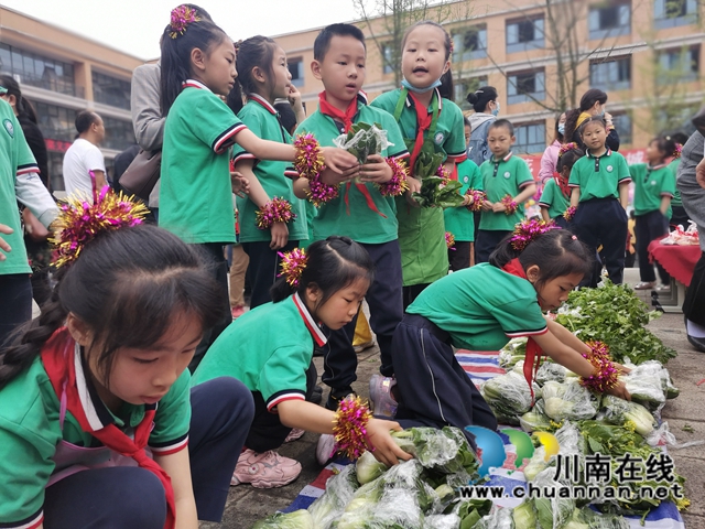 泸县：师生种出有机菜 义卖捐赠一份爱(图5)