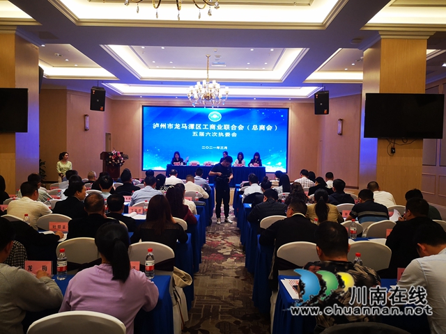龙马潭区工商联召开五届六次执委会议(图1)