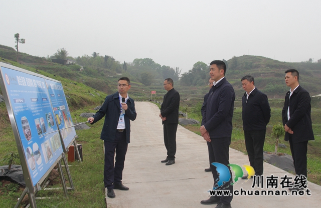 肖刚率队到泸县云龙镇调研乡镇行政区划和村级建制调整改革“后半篇”文章工作(图3)