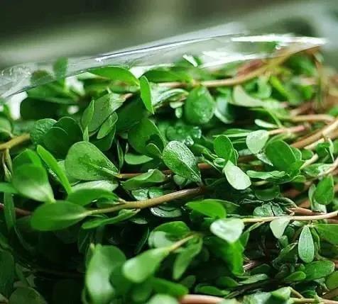 【春分】今天起，这3种食物不能再吃了！(图3)