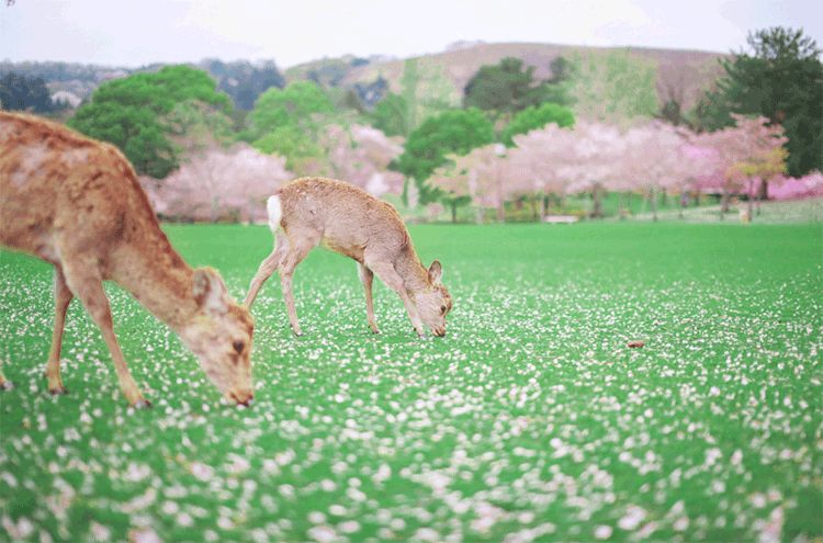 【春分】今天起，这3种食物不能再吃了！(图8)