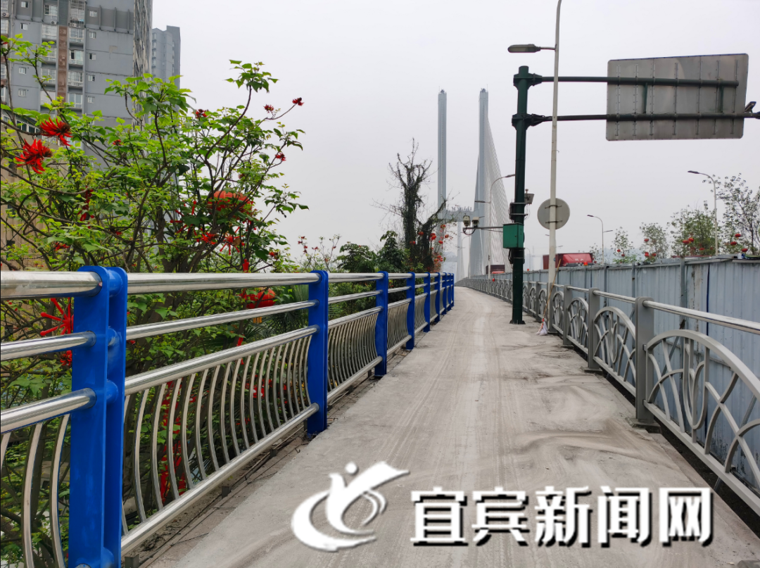 宜宾长江大桥改造即将完工(图2)