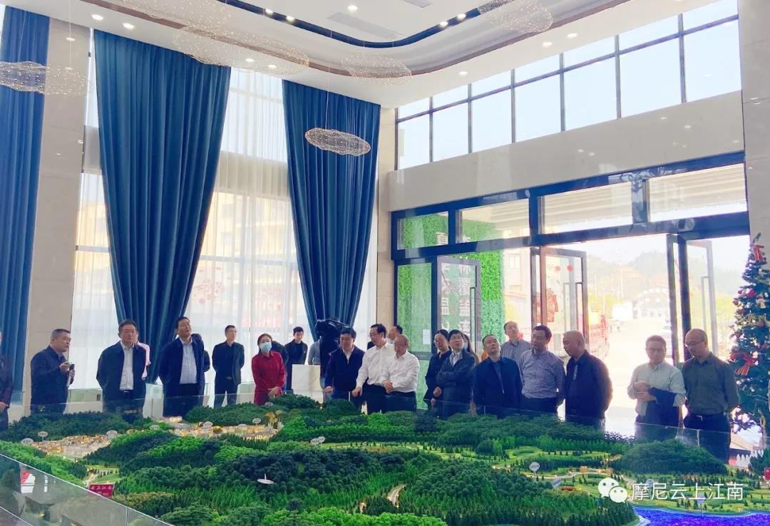泸州市长杨林兴调研摩尼云上江南项目(图3)