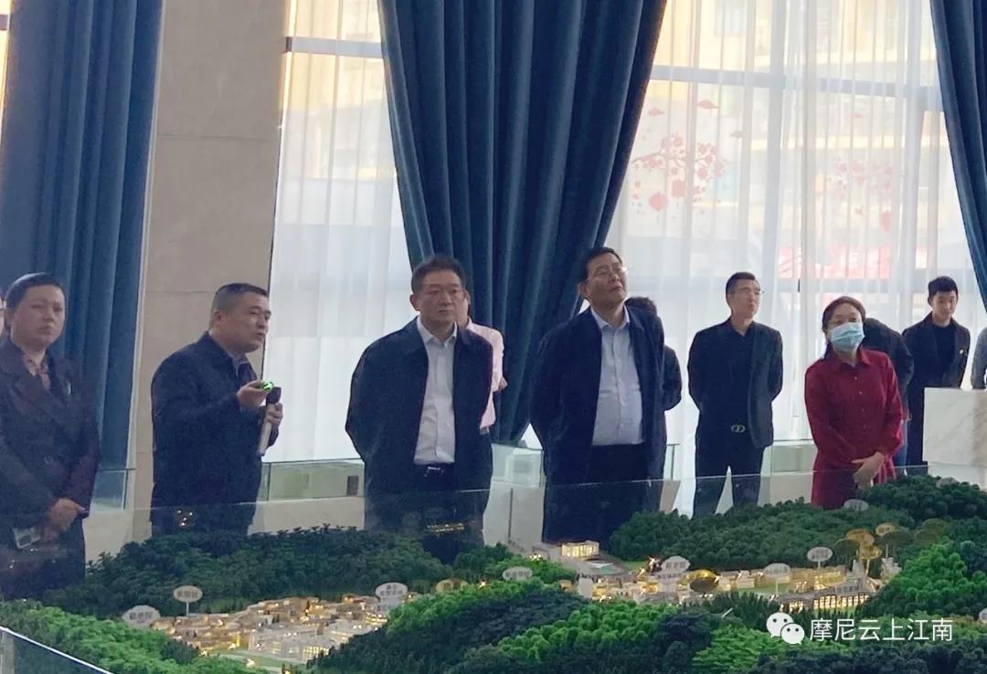 泸州市长杨林兴调研摩尼云上江南项目(图4)