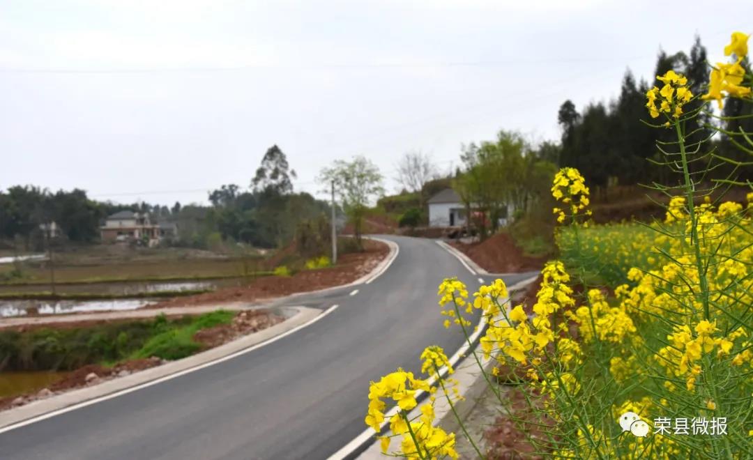 自贡荣县投入2.5亿修路，看看有你的老家吗？(图3)
