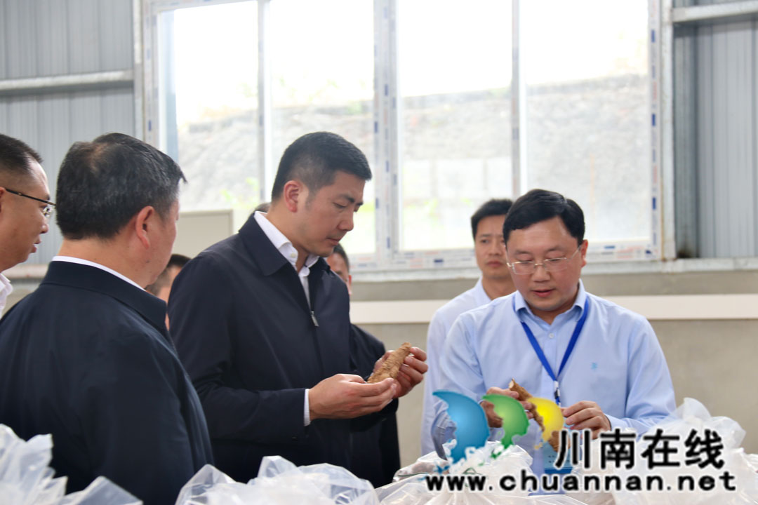 泸州市泸县县委书记肖刚率队调研百和镇(图2)