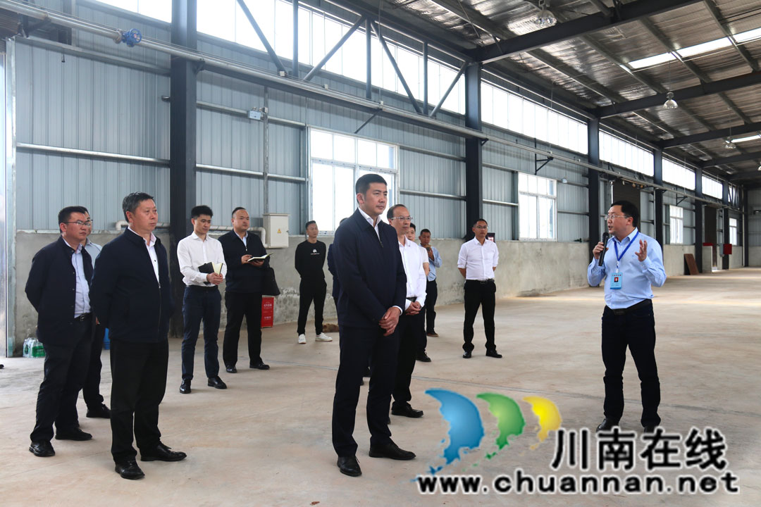 泸州市泸县县委书记肖刚率队调研百和镇(图4)