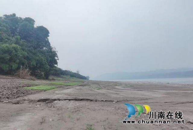 合江县神臂城镇经盘村：“荒滩空地”变身“河清岸绿”(图1)