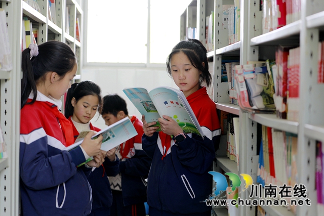 龙马潭区泸化小学：讲好“青林”故事，传承红色基因(图14)
