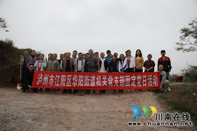 江阳区华阳街道开展固定党日义务植树活动(图1)