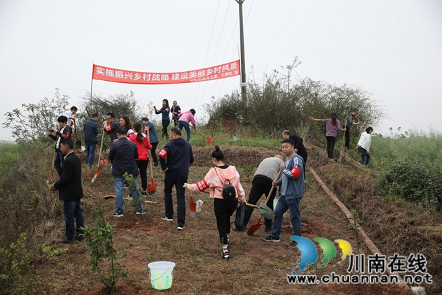 江阳区华阳街道开展固定党日义务植树活动(图2)