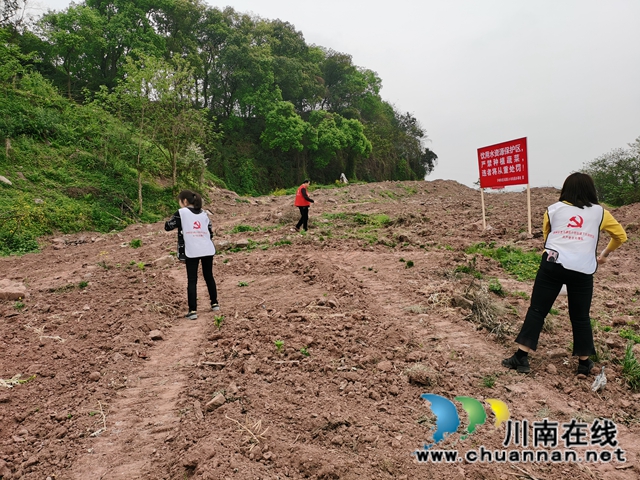 龙马潭区小市街道开展“保护饮用水源绿化”主题活动(图2)