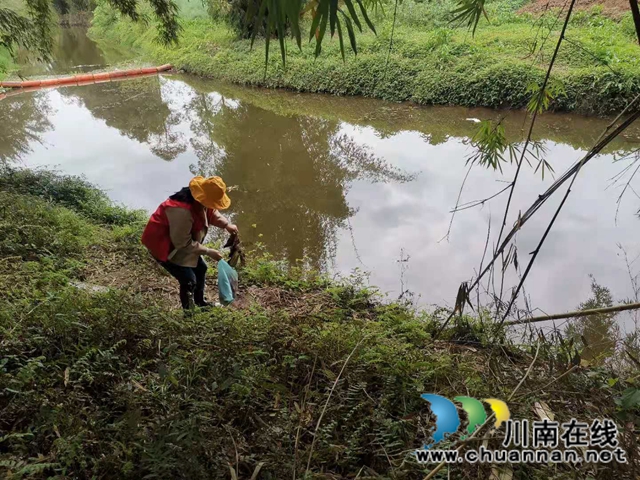 泸县百和镇组织开展“巡河护岸捡垃圾”志愿服务活动(图1)