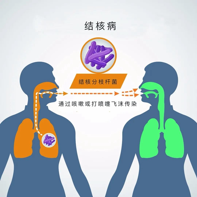 【提醒】鲁迅、契诃夫……多位名人因它去世，一人感染，多人遭殃？(图6)